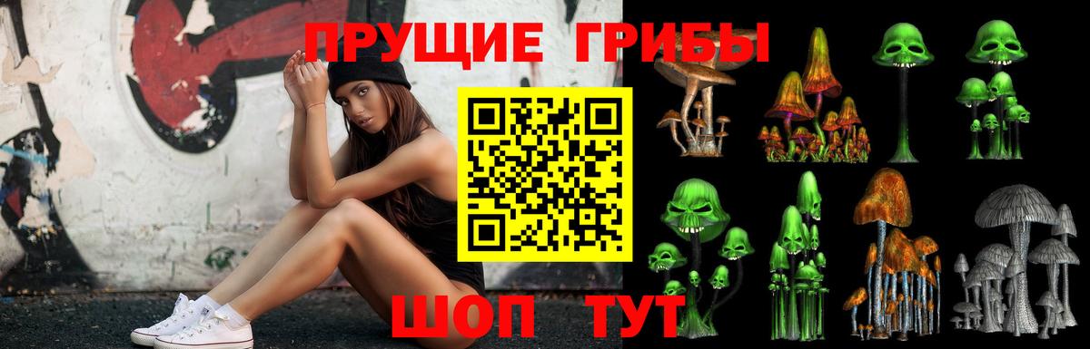 Полысаево  Галлюциногенные грибы Magic Shrooms  Вход с VPN 