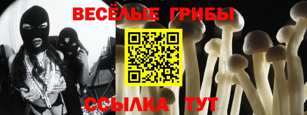 Псилоцибиновые грибы Psilocybine cubensis Полысаево